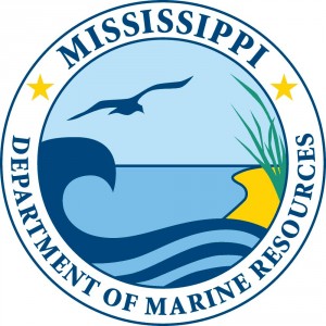 MSDMR_logo