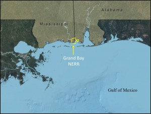 MS_GBN_project_site_A